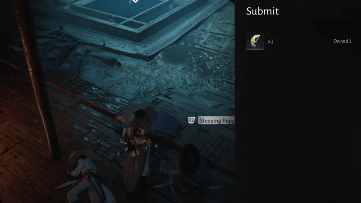 WWM - Give the Broken Jade Pendant to the Sleeping Puppet