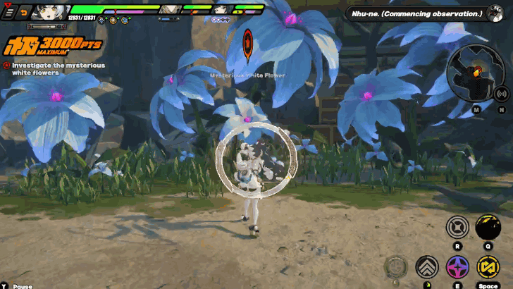 Investigate the Mysterious White Flowers