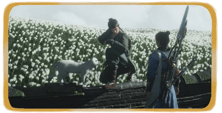 WWM - Mysterious Letter