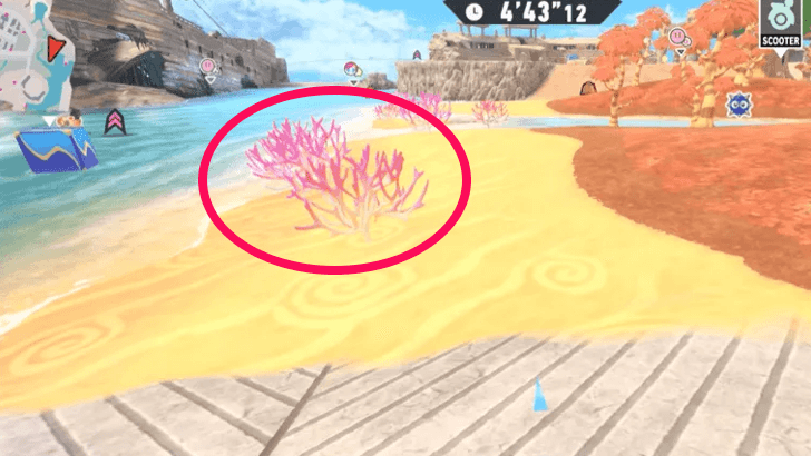 Destroy All the Coral on the Beach Step 4 - Beach Coral Appearance