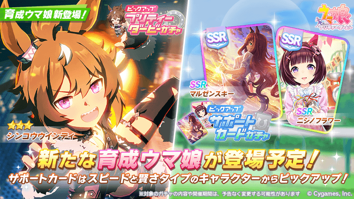 Shinko Windy Banner