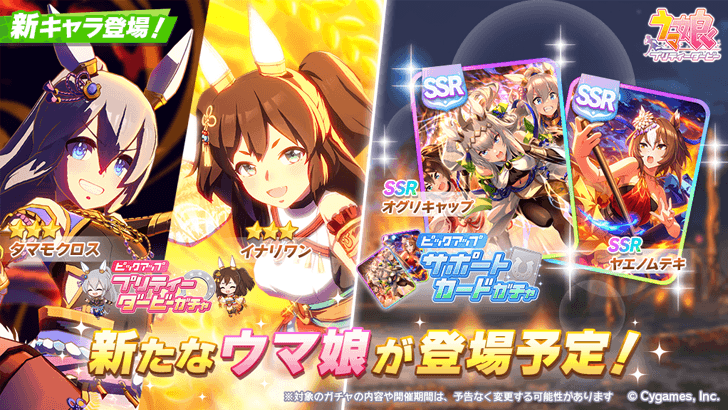 Tamamo Cross (Festival) Banner