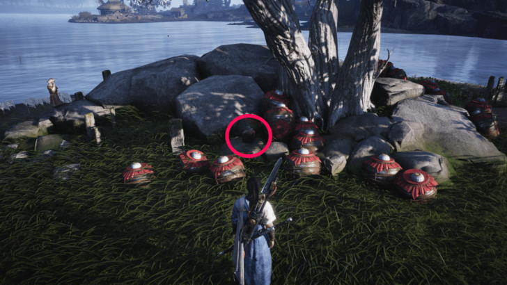 Colorful Longevity Thread