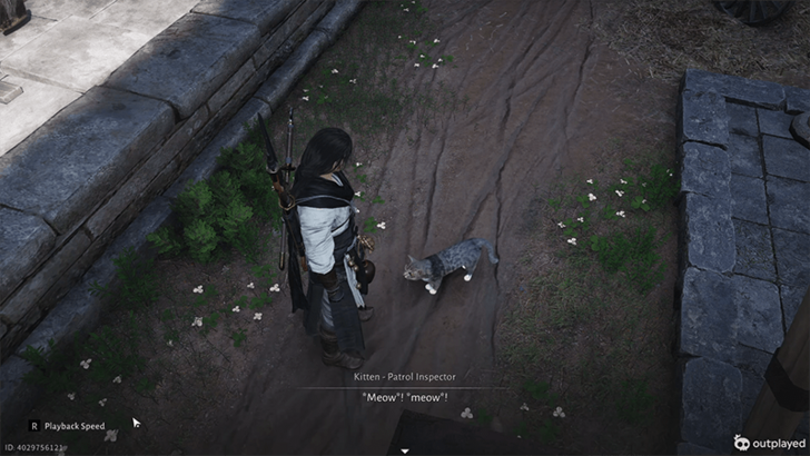 Kitten - Patrol Inspector