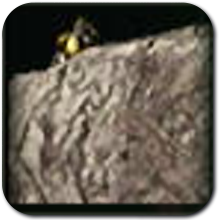 Hyrule Warriors Age of Imprisonment - Stone Talus (Rare)