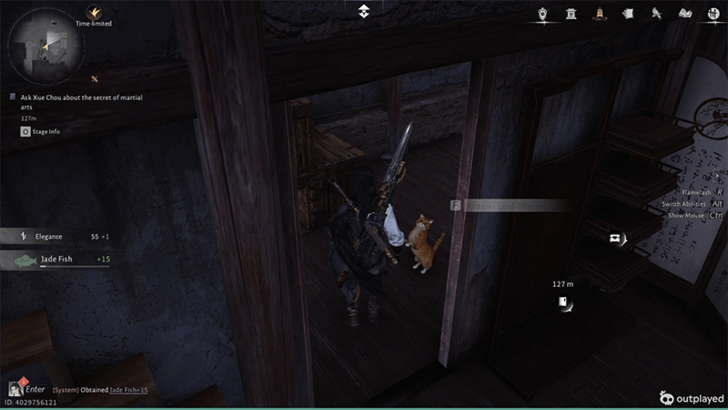 Kitten - Lord Orange