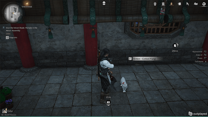 Kitten - Cotton Yang