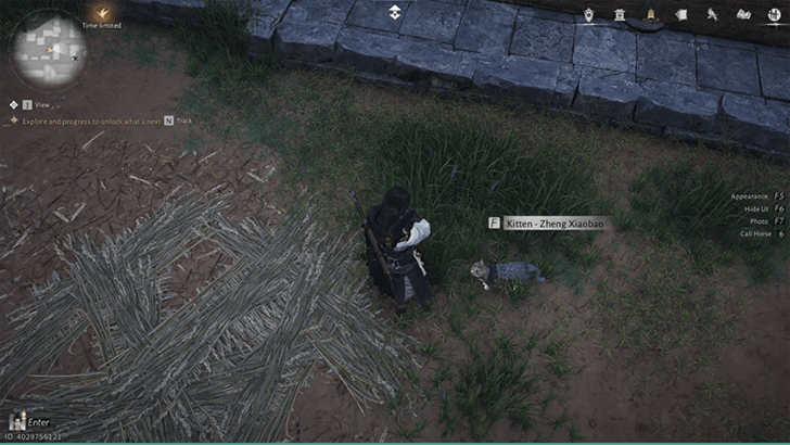 Kitten - Zheng Xiaobao