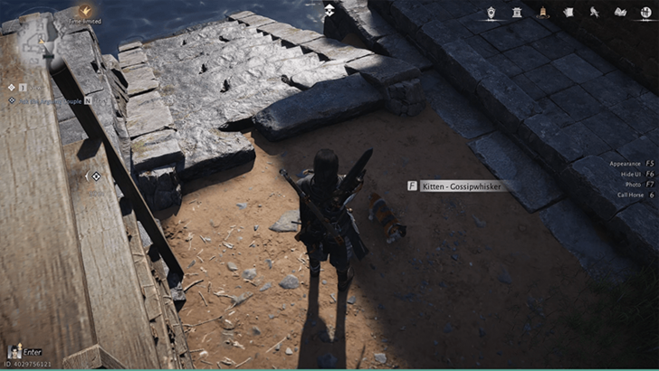 Kitten - Gossipwhisker