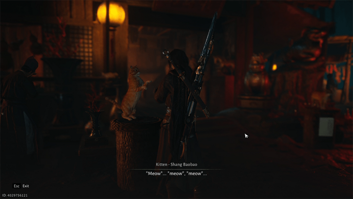 Kitten - Shang Baobao