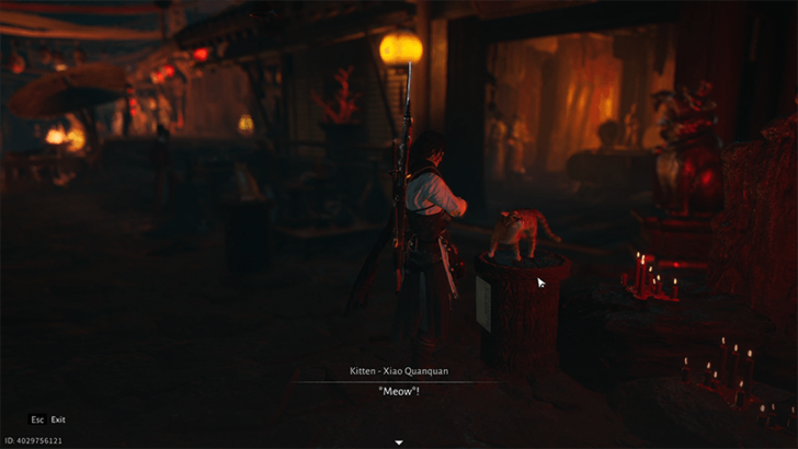 Kitten - Xiao Quanquan