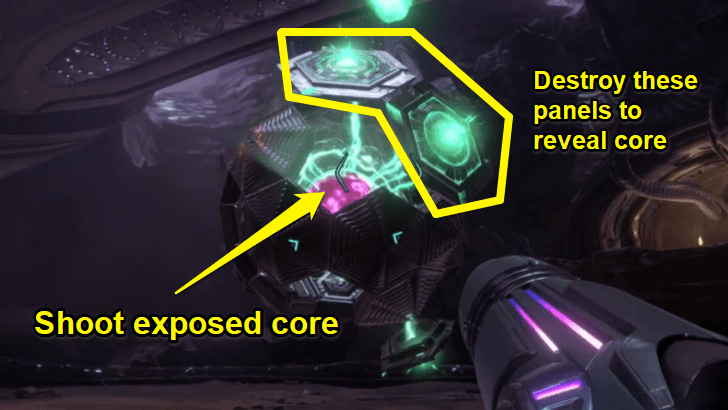 Shoot Core and Lit Panels