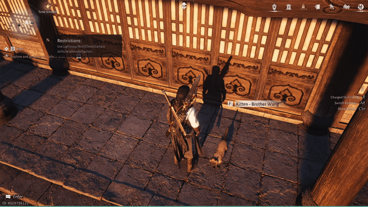 Kitten - Brother Wang