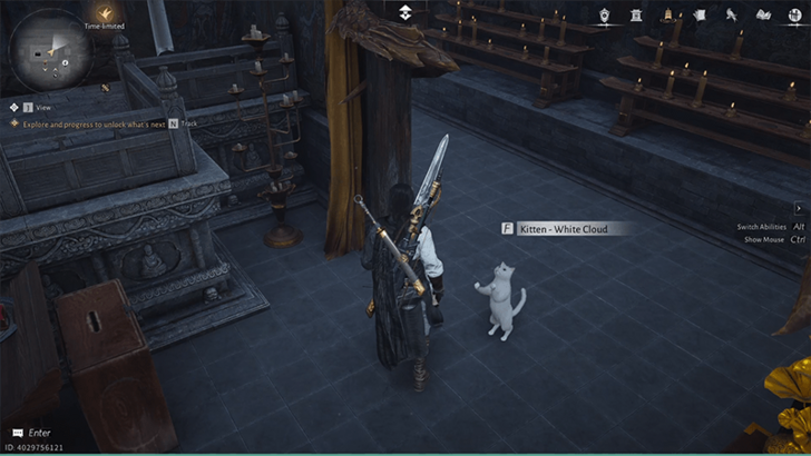 Kitten - White Cloud