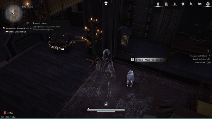 Kitten - Ms. Prosperity