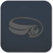 DS Remake - BronzeTrophy