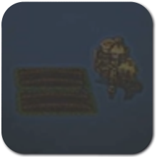 DS Remake - BronzeTrophy