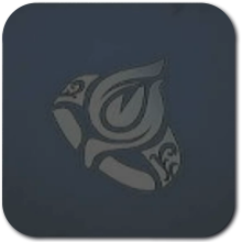 DS Remake - BronzeTrophy