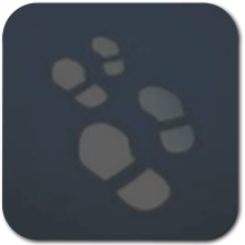 DS Remake - SilverTrophy