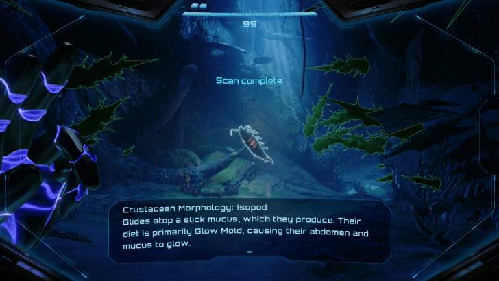 Isopod Logbook Entry