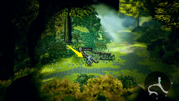 Lumber in Wishvale Trail