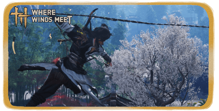 Advanced Combat Guide