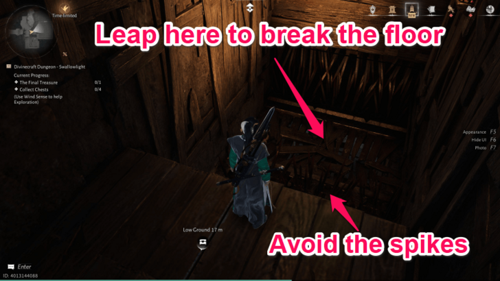 Divine Craft Dungeon - Swallowlight (1)