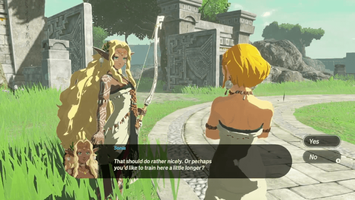 Queen Sonia Party Member