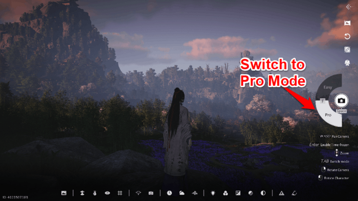 Switch to Pro Mode to Use More Features