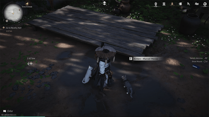 Kitten - Marvel Meow