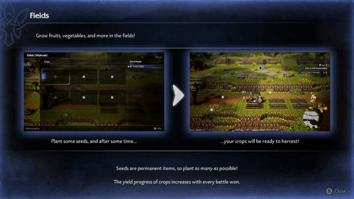 Growing Vegetables Tutorial