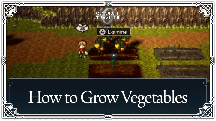 Octopath Traveler 0 - How to Grow Vegetables