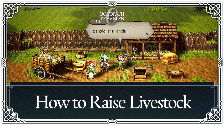 How to Raise Livestock