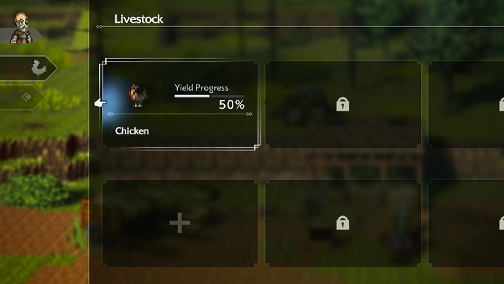 Raise Chickens in the Ranch