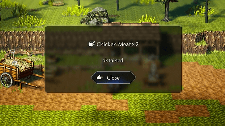 Chicken Meat obtained