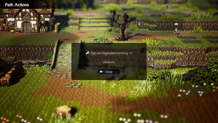 Tips on Vegetable Farming