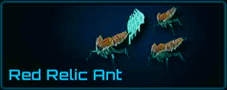 Red Relic Ant