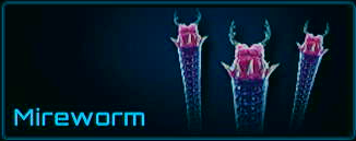 Mireworm