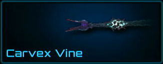 Carvex Vine