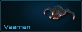 Vaernan