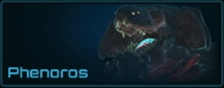 Phenoros