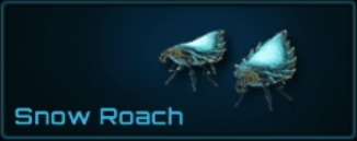 Snow Roach