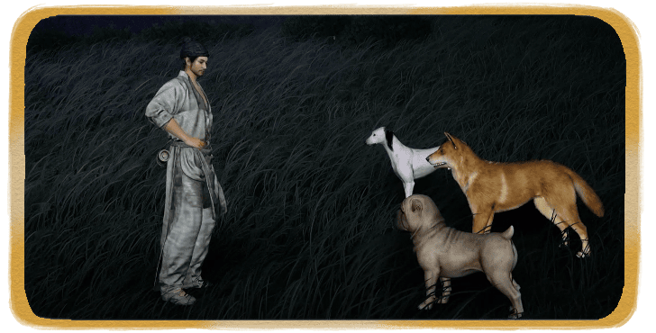 WWM - A Dog’s Life by Choice