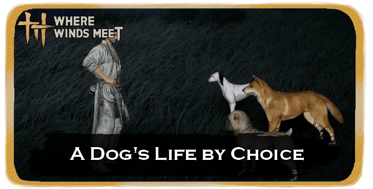 A Dog’s Life by Choice Banner