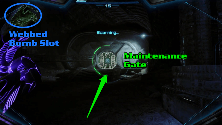 Maintenance Gate Location