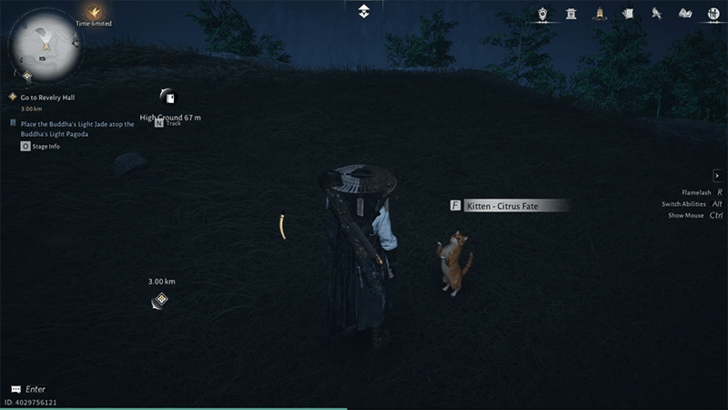 Kitten - Citrus Fate