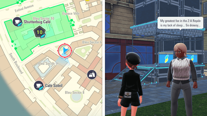 Scaffolding to the Roof of Bleu Sector 6