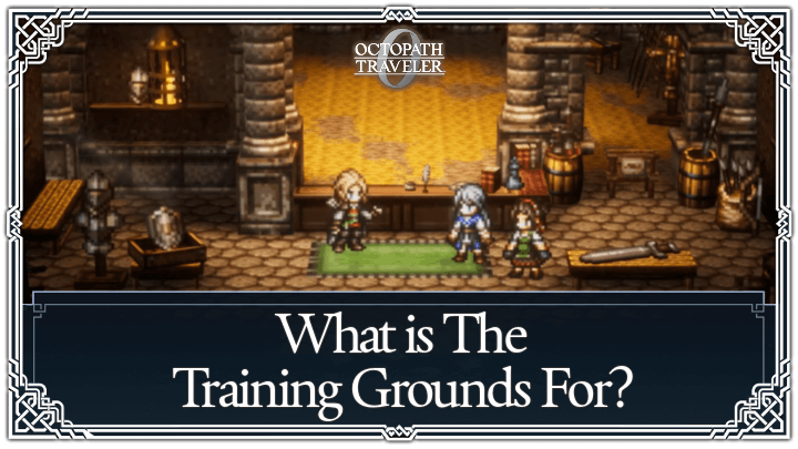 What is The Training Grounds For