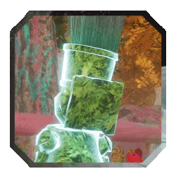 Romanifo (Half-Baked Gestral)