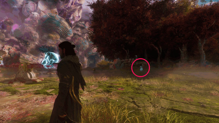 Romanifo (Half-Baked Gestral) Location